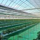 찬이농장 이미지