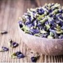 블루티(BLUE TEA)