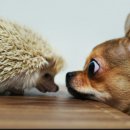 포토갤러리 이미지