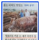 이길수농장 이미지