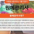 생활원예관리사 이미지