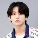 펫토피아 이미지