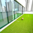 맘바이 루프탑 테라스 강아지 애견호텔 애견유치원 이미지