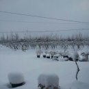 상구농장 이미지