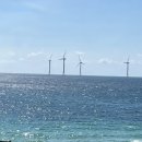 애월 하루 | 제주도 애월 하루필름 카페 / 애월 렌디스도넛 후기