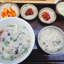 자연의 원죽