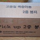 승일제대 복숭아 이중봉지 팝니다. 이미지