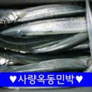 사량옥동민박 이미지