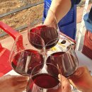 청풍모들펜션 이미지