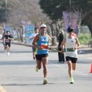 태안군, 제5회 전국어울림마라톤대회 성황리 마쳐(김면수의 정치토크) 이미지