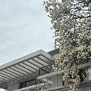 우암산다방