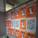 제주감성 | [에이프] 펭귄 찾아가는 제주시청 감성카페 후기