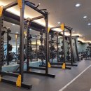 엠휘트니스 이미지