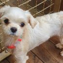 군산시-01036 이미지