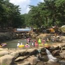 오도산자연휴양림 이미지