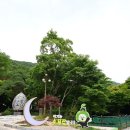 제36회 소요단풍문화제 이미지