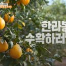 정훈농장2 이미지