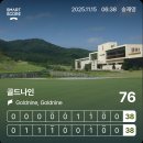 골드나인