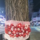 종로-종로-종로-종-273 이미지