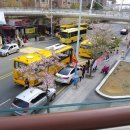 퀸덤약국 네이버블로그