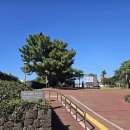 선사유적지 전시관2(전시관외부) 이미지