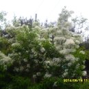 진도상설시장 이미지