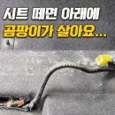 90스팀워시 | 청주 스팀세차, 시트 탈거까지 기본으로 하는 곳 후기