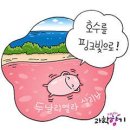 플랑크톤이 만드는 핑크빛 호수의 비밀 - 기사에서 퍼왔어요~ 이미지