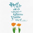 여혼행 칭구 와 선물같은날/서귀포시 칼호텔 주변뷰오션 허니문하우스 뷰 카페 포스팅! 이미지