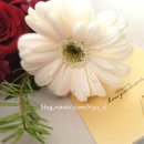 시청로 138번길 이미지