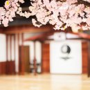 안중검도관 이미지