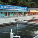 어라연송어횟집 이미지