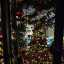 땡큐베리(Thankyou berry) 이미지