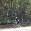 모골식당 이미지