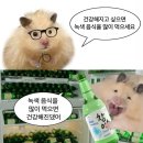 세월마차 네이버블로그
