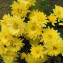 해맞이목장 이미지