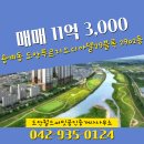 도안월드공인중개사사무소 네이버블로그