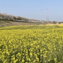 점섬공원 화장실 이미지