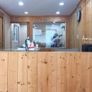 리즈애견미용 이미지