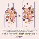 피어나스킨엔바디