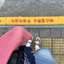 COOL | 2025 Cass Cool Festival/후기