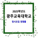 2025학년도 광주교육대학교 정시모집 경쟁률 / 일반, 장애인대상자, 농·어촌학생 이미지