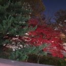 부천종합운동장 | 11월 부천종합운동장 5km 러닝 후기