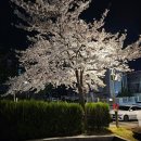 당진을 노래하다 | 한국형 칸타타 &#39;달의 춤&#39;/당진 문예의 전당 당진시충남합창단 공연
