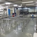 부산애견미용 이미지