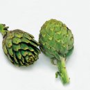 리노브 | 순환에 좋은 아티초크 한송이가 그대로! 리노브 아티슬림 워터믹스 | 아트초크먹는법 , 효능효과