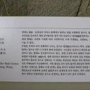 조광 이미지