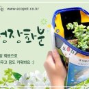 주식회사 원디자인