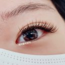 제이블리뷰티 - 21356 | 제이블리뷰티