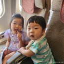 브로콜리삼춘 | 5살, 9개월 아기와 꽉채운 10일간의 제주여행 -1 (브로콜리삼춘, 헬로키티아일랜드, 랜디스도넛, 호커...